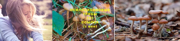 метадон Арсеньев